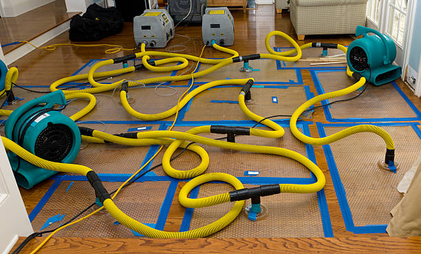 Professional Basement Flood Cleanup technician working in Gray, GA